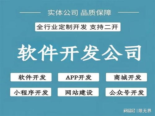 北京軟件開發(fā)公司開發(fā)能力綜合評估 技術實力與創(chuàng)新實踐