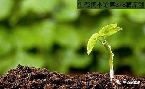 姜林親贊土壤修復專家 提升“免疫能力”是未來修復關鍵